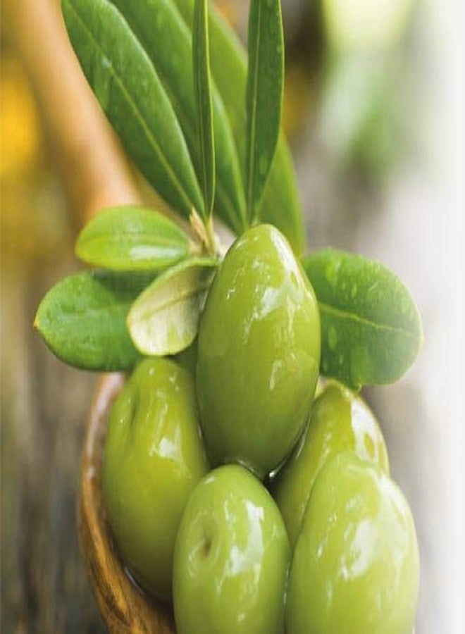 Cucina Fruits & Passion Coriander and Olive Tree Hand Soap 200ml and Nourishing Hand Butter 60ml - Image 5